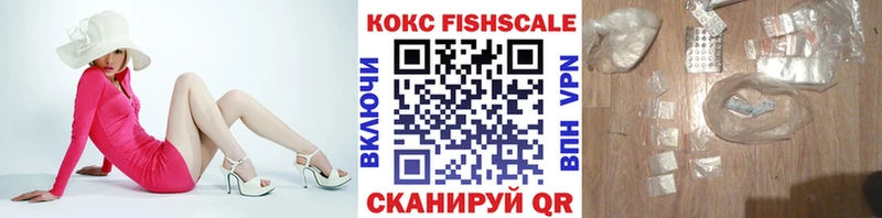 omg вход  Чебоксары  Cocaine FishScale 