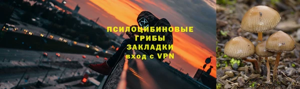 ешки Алексеевка