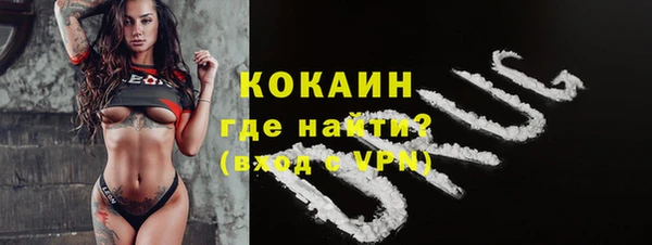 мет Няндома